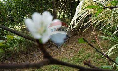 GRAN PARCELA 6000 m2 PUEBLO ZUÑIGA, SAN VICENTE