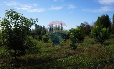 GRAN PARCELA 6000 m2 PUEBLO ZUÑIGA, SAN VICENTE