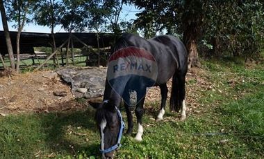 GRAN PARCELA 6000 m2 PUEBLO ZUÑIGA, SAN VICENTE