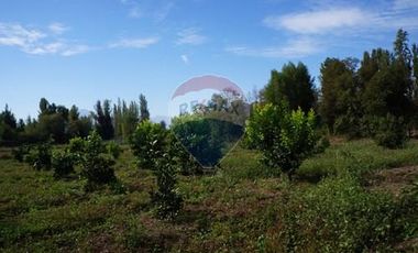 GRAN PARCELA 6000 m2 PUEBLO ZUÑIGA, SAN VICENTE