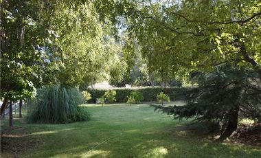 GRAN PARCELA 6000 m2 PUEBLO ZUÑIGA, SAN VICENTE