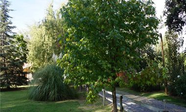 GRAN PARCELA 6000 m2 PUEBLO ZUÑIGA, SAN VICENTE