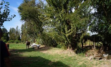 GRAN PARCELA 6000 m2 PUEBLO ZUÑIGA, SAN VICENTE