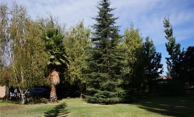 GRAN PARCELA 6000 m2 PUEBLO ZUÑIGA, SAN VICENTE