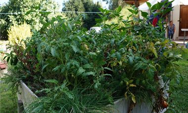 GRAN PARCELA 6000 m2 PUEBLO ZUÑIGA, SAN VICENTE