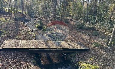 Acogedora casa Molco Alto Pucón