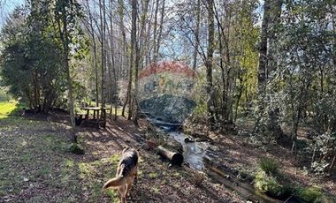 Acogedora casa Molco Alto Pucón
