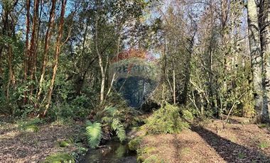 Acogedora casa Molco Alto Pucón