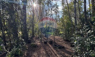 Acogedora casa Molco Alto Pucón