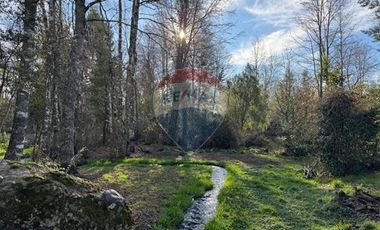 Acogedora casa Molco Alto Pucón