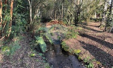 Acogedora casa Molco Alto Pucón