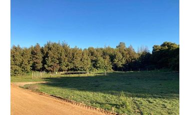 OPORTUNIDAD PARCELA, BRISAS DE BUCALEMU