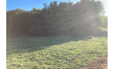 OPORTUNIDAD PARCELA, BRISAS DE BUCALEMU