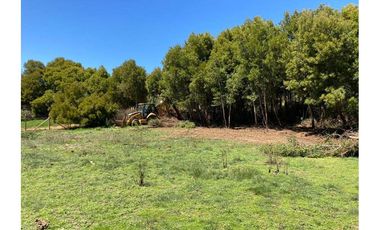 OPORTUNIDAD PARCELA, BRISAS DE BUCALEMU