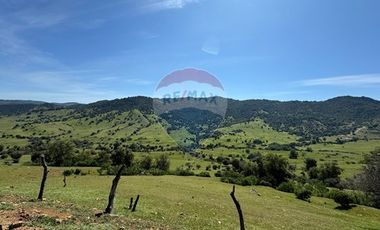 Parcela con hermosa vista