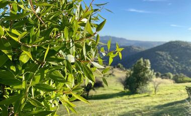 Parcela con hermosa vista