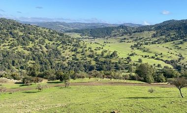 Parcela con hermosa vista