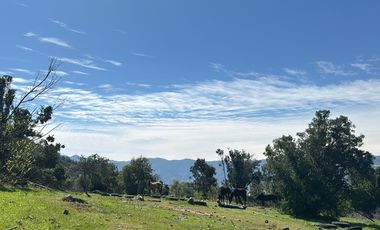 Parcela con hermosa vista