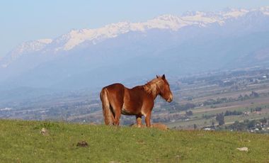 Parcela con hermosa vista