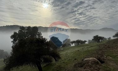 Parcela con hermosa vista