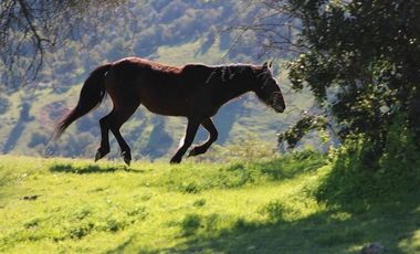 Parcela con hermosa vista