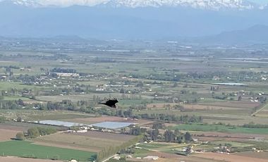 Parcela con hermosa vista