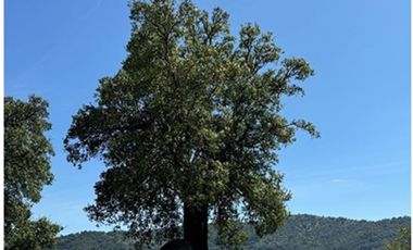 Parcela con hermosa vista