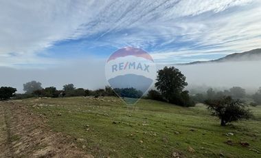 Parcela con hermosa vista