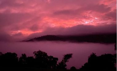 Parcela con hermosa vista