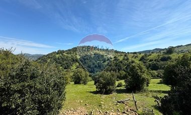 Parcela con hermosa vista