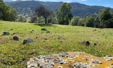 Parcela con hermosa vista