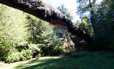 Parcela de Ensueño en Melipeuco.