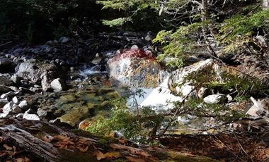 Parcela de Ensueño en Melipeuco.