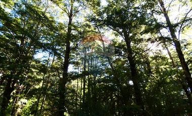 Parcela de Ensueño en Melipeuco.