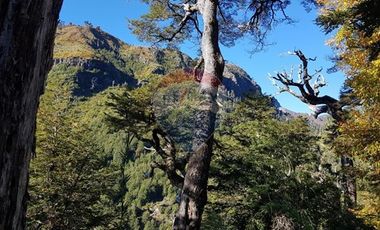 Parcela de Ensueño en Melipeuco.