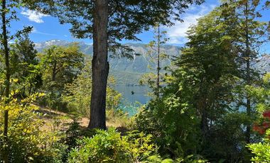 ISLA PRIVADA EN VENTA LAGO LAS ROCAS , COCHAMÓ