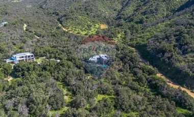 Oasis de Lujo y Naturaleza en Parque Cantillana