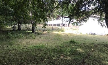 CAMPO EN VENTA- VILLARRICA- CALIDAD INDIGENA