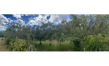 CAMPO EN VENTA- VILLARRICA- CALIDAD INDIGENA