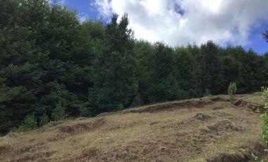 CAMPO EN VENTA- VILLARRICA- CALIDAD INDIGENA