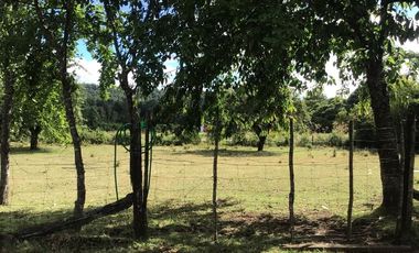 CAMPO EN VENTA- VILLARRICA- CALIDAD INDIGENA