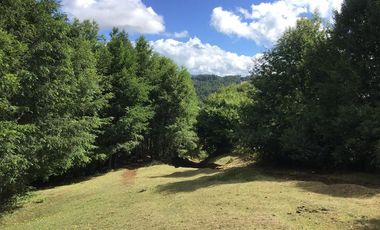 CAMPO EN VENTA- VILLARRICA- CALIDAD INDIGENA