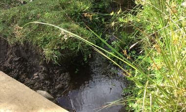 CAMPO EN VENTA- VILLARRICA- CALIDAD INDIGENA