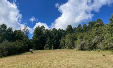 CAMPO EN VENTA- VILLARRICA- CALIDAD INDIGENA