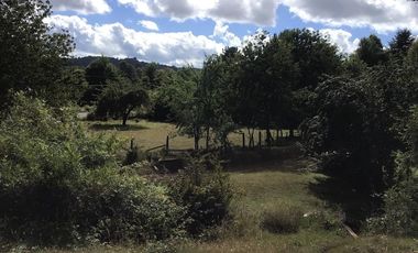 CAMPO EN VENTA- VILLARRICA- CALIDAD INDIGENA