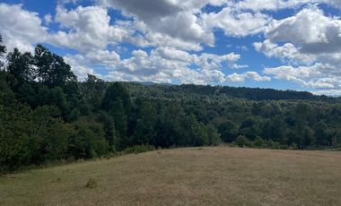 CAMPO EN VENTA- VILLARRICA- CALIDAD INDIGENA