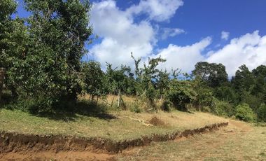 CAMPO EN VENTA- VILLARRICA- CALIDAD INDIGENA