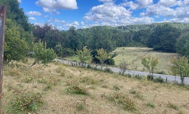 CAMPO EN VENTA- VILLARRICA- CALIDAD INDIGENA