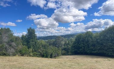 CAMPO EN VENTA- VILLARRICA- CALIDAD INDIGENA
