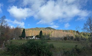CAMPO EN VENTA- VILLARRICA- CALIDAD INDIGENA